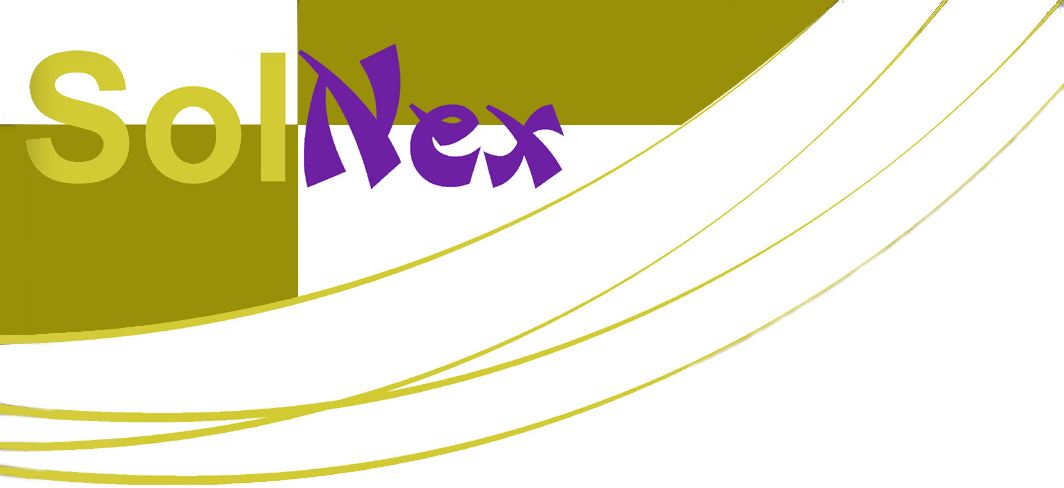 Logo Soluciones Nexus - SolNex